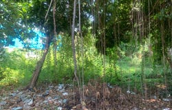 Chroy Changvar, Chroy Changvar, Phnom Penh