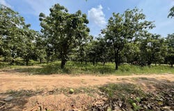 Preaek Ambel, S'ang, Kandal
