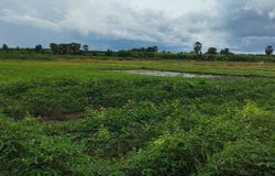 Ta Prok, Chamkar Leu, Kampong Cham