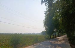 Preaek Koy, S'ang, Kandal