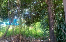 Chroy Changvar, Chroy Changvar, Phnom Penh