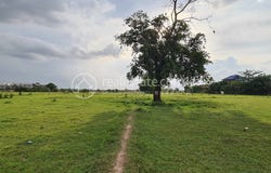 Sambuor Meas, Mukh Kampul, Kandal