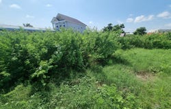 Sambuor Meas, Kampong Cham, Kampong Cham