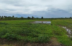 Ta Prok, Chamkar Leu, Kampong Cham