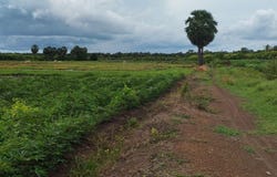 Ta Prok, Chamkar Leu, Kampong Cham