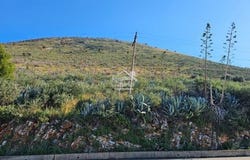 Vlorë, Vlorë