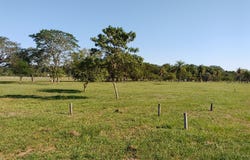 43 2.5, Corrientes, Corrientes