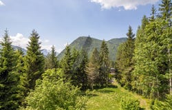 St. Ulrich am Pillersee, Tyrol 6393