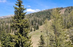 Sirnitz, Carinthia 9571