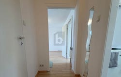 Enzesfeld-Lindabrunn, Lower Austria 2551