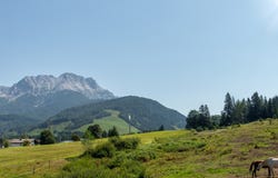 Hochfilzen, Tyrol 6395
