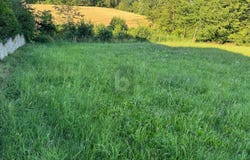 Wels, Upper Austria 4600