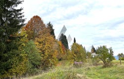 Fieberbrunn, Tyrol 6391