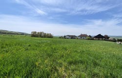 Horn, Lower Austria 3580