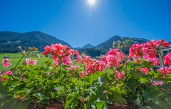 Brixen im Thale, Brixen im Thale, Tyrol 6364