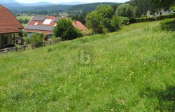 Weitensfeld, Carinthia 9344
