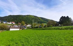 Neusiedl, Lower Austria 2763