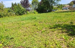 Zwettl, Lower Austria 3910