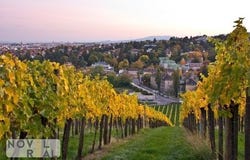 Vienna, Vienna 1010