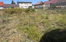 Wilfleinsdorf, Lower Austria 2462