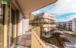 Vienna, Vienna 1010