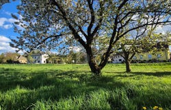 Melk, Lower Austria 3390