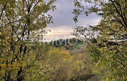 Langenzersdorf, Lower Austria 2103