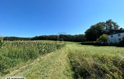 Feldkirchen bei Mattighofen, Upper Austria 5143
