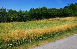 Ernstbrunn, Lower Austria 2115