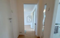 Enzesfeld-Lindabrunn, Lower Austria 2551