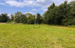 Taufkirchen an der Pram, Upper Austria 4775