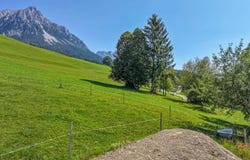 Ellmau, Tyrol 6352