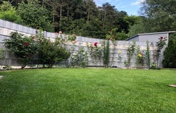 Purkersdorf, Lower Austria 3002