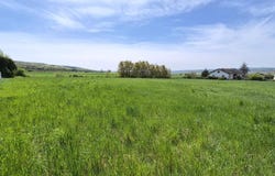 Horn, Lower Austria 3580