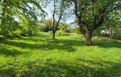 Kirchstetten, Lower Austria 3062
