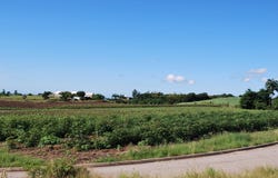 4FPF+J6, St. George, Saint George