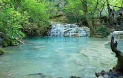 Letnitsa, Lovech 5570