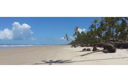 Bahia, State of Bahia 45860-000