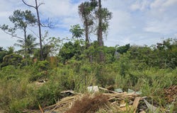 K RAMSEY STREET, New Providence/Paradise Island, New Providence/Paradise Island