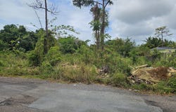 K RAMSEY STREET, New Providence/Paradise Island, New Providence/Paradise Island
