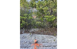 F782+P7, Exumas, Exuma