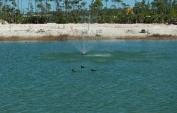 WINDSOR LAKES lot: 169, New Providence/Paradise Island, New Providence/Paradise Island