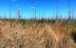 LUCAYA ESTATES LOT, Grand Bahama/Freeport, Grand Bahama/Freeport