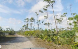 26 GALLINULE DR. YEOMAN WOOD, Grand Bahama/Freeport, Grand Bahama/Freeport