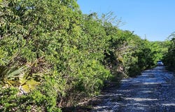 BSD 11W, Exuma & Exuma Cays, Exuma & Exuma Cays