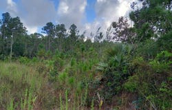 N ANDROS VACANT LAND, Andros, Andros