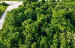 Mayflower Street , , San Ignacio, Cayo, San Ignacio, Cayo