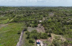 bullet tree falls , , Bullet Tree, Cayo, Bullet Tree, Cayo