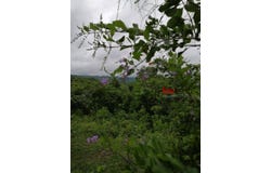 #Mountain Lots For Sale With Stunning Views, Santa Elena, Cayo District