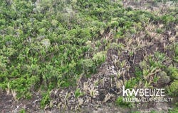 47W9+J85 Armenia, Belize, Armenia, Cayo District